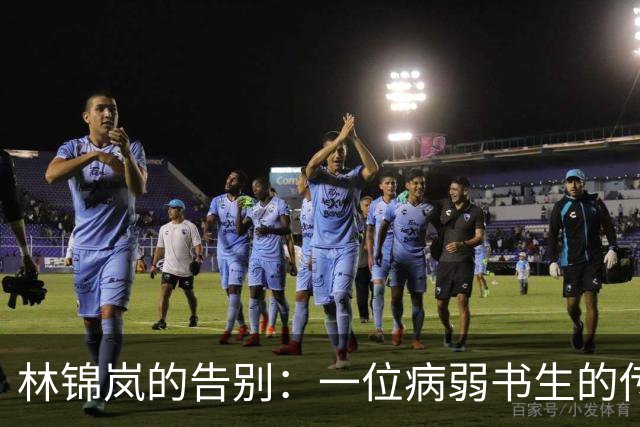 林锦岚的告别：一位病弱书生的传奇人生